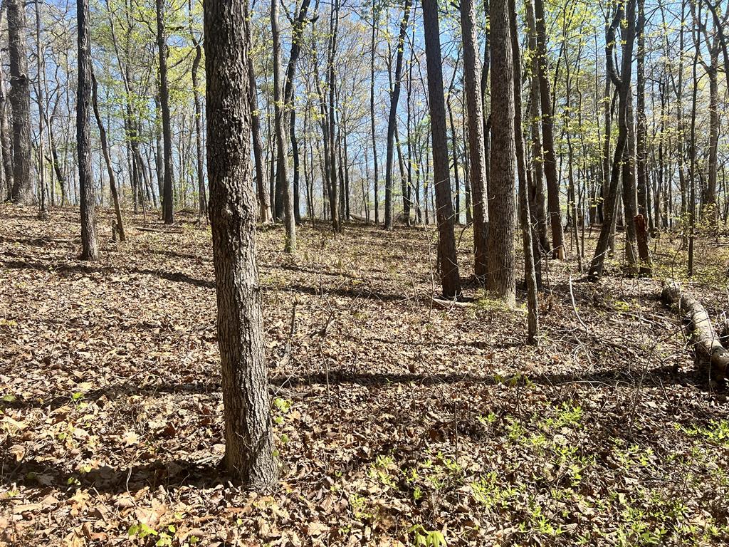 Lot 93 Doll Mountain Road