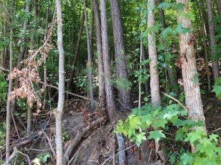 Lot 815 Lonsdale Lane