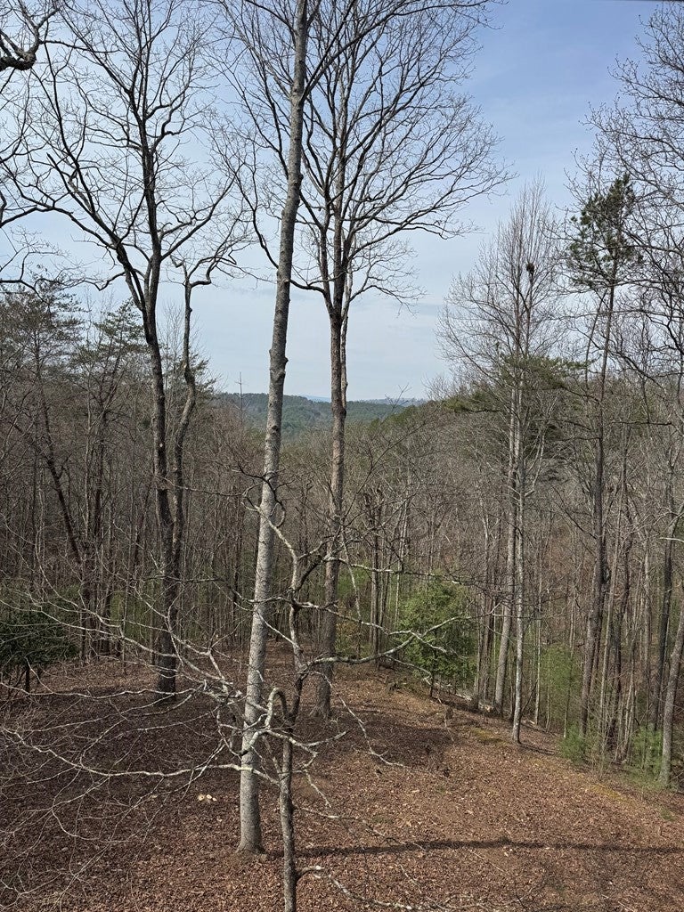 1600 My Mountain Road