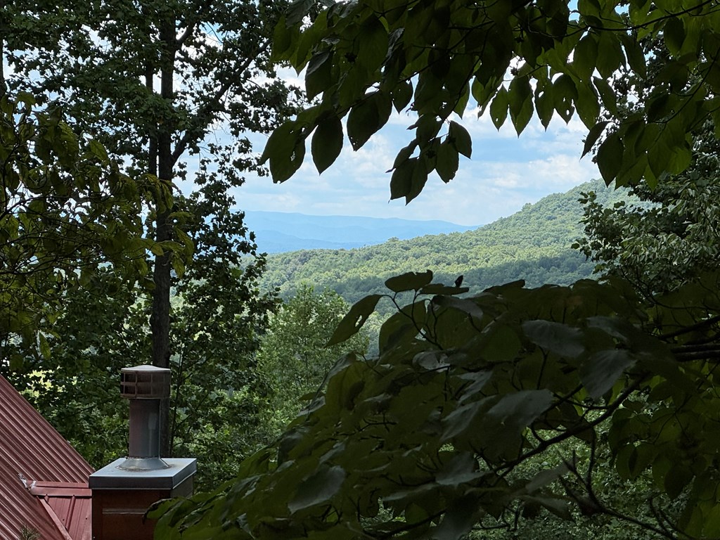 Lot 4 Picklesimer Mountain