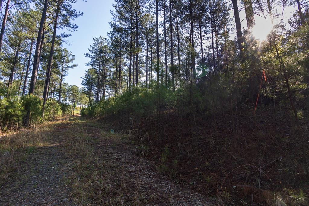 Lot 265 Thirteen Hundred S/D