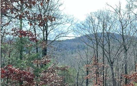 A home in Blue Ridge