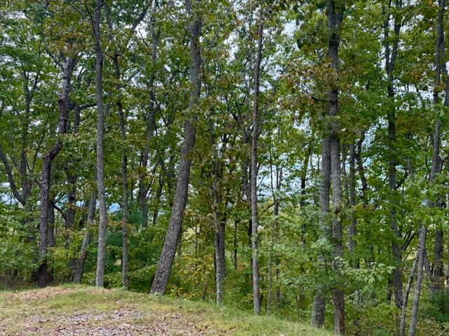 Lot 35 Grand Laurel