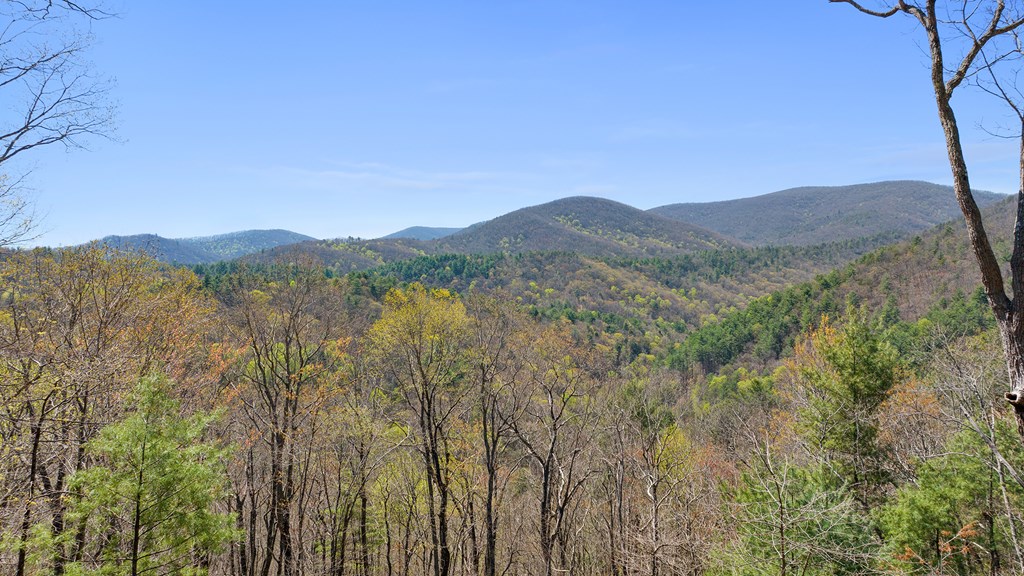 0 Big Creek Road