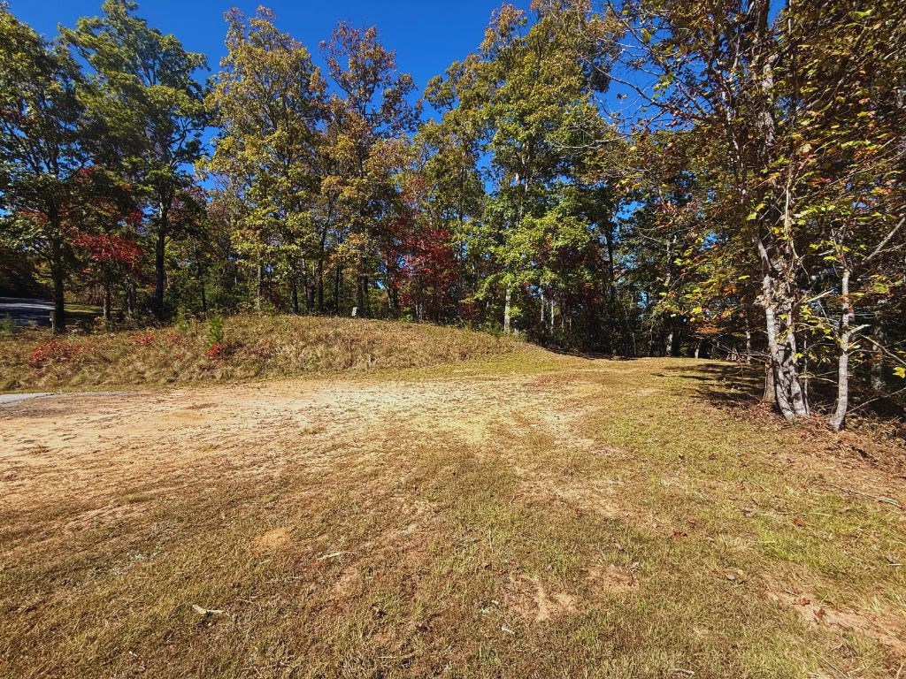 Lot 1 Brasstown Trails