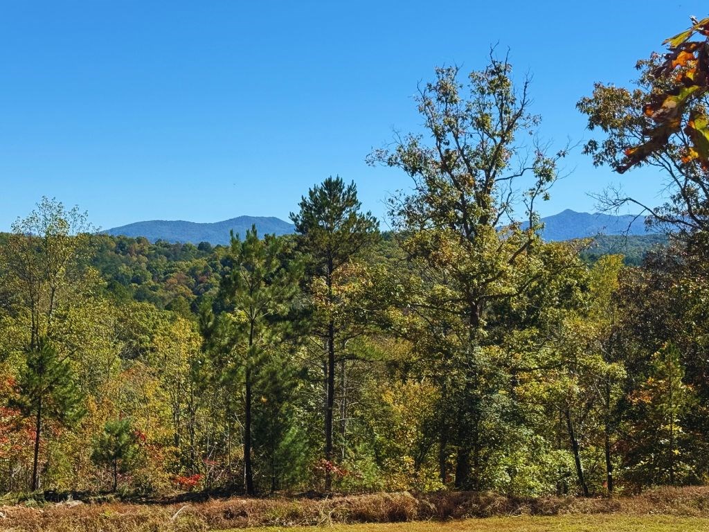 Lot 1 Brasstown Trails