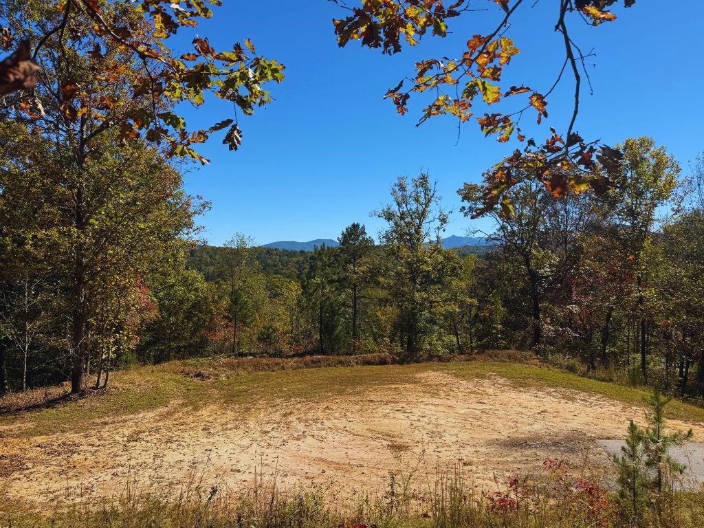 Lot 1 Brasstown Trails