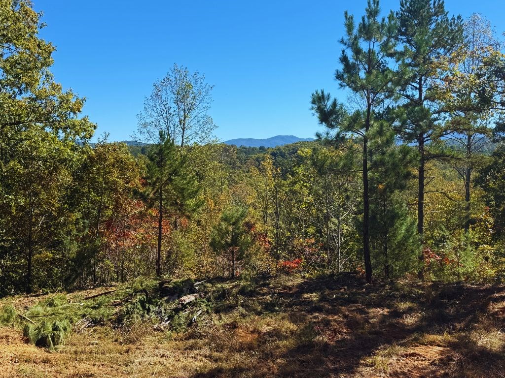 Lot 1 Brasstown Trails
