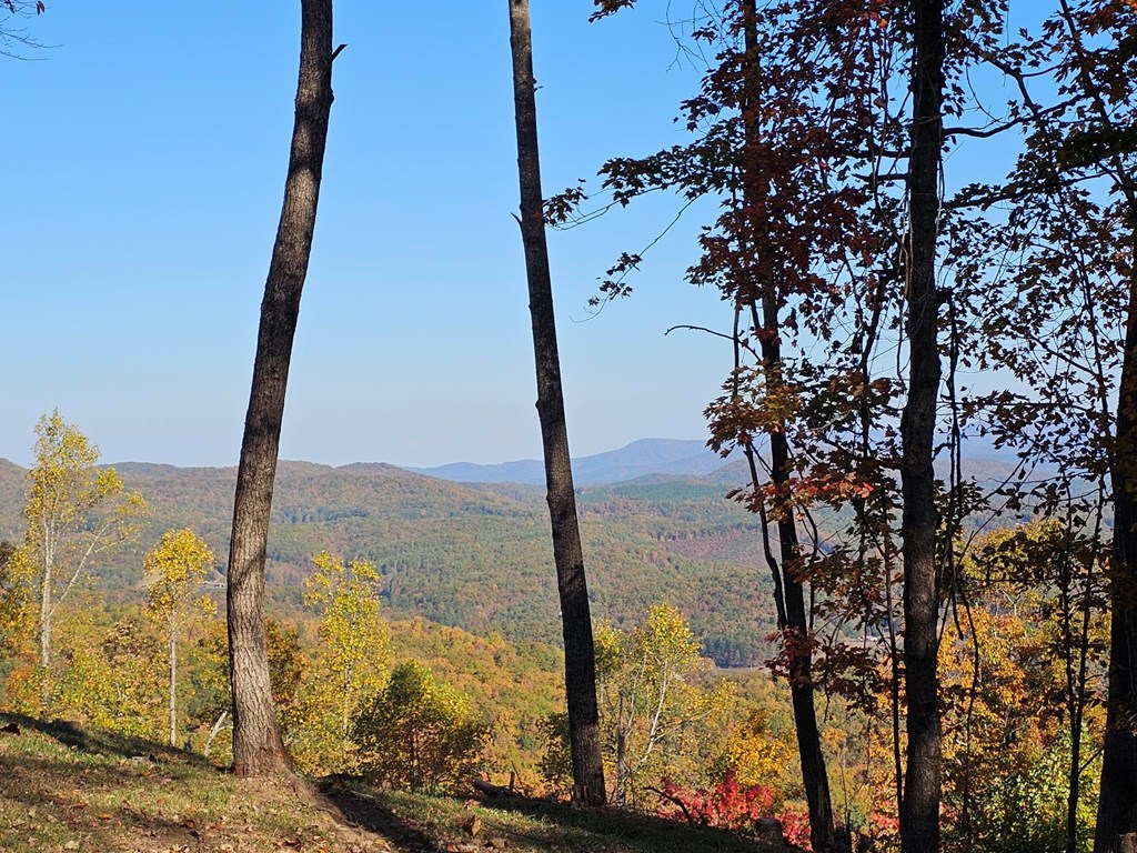 38 Trophy Buck Point