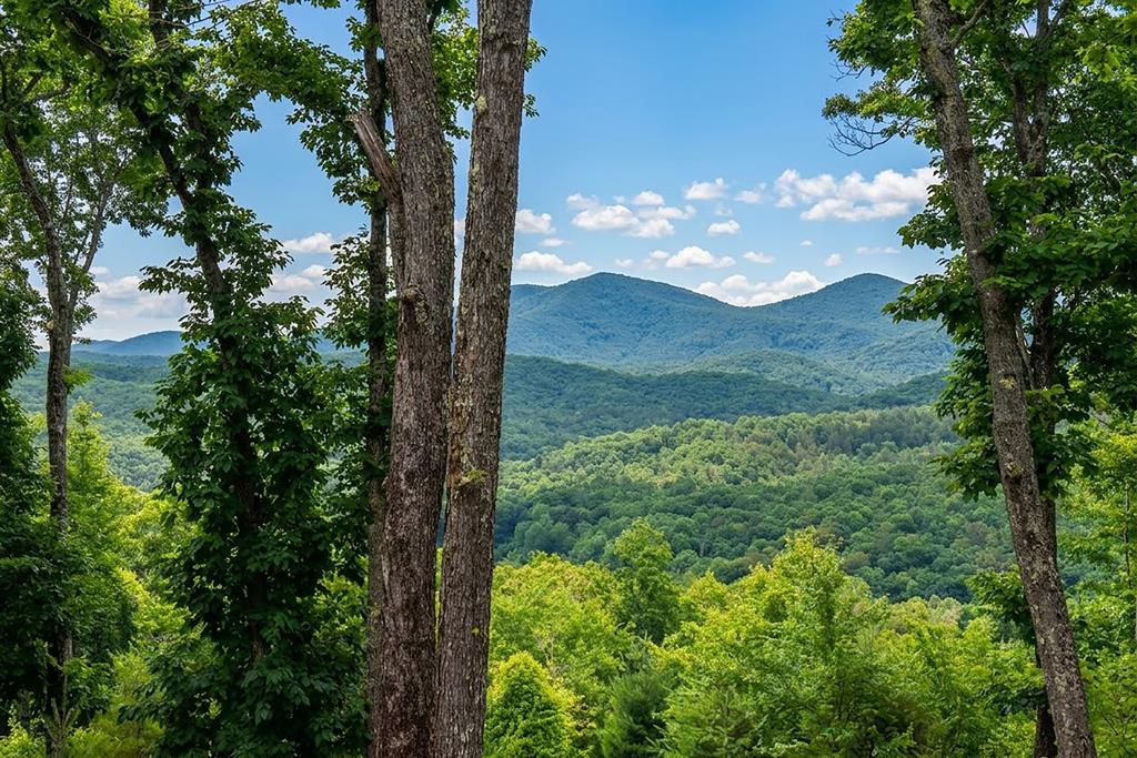 731 Native Trail