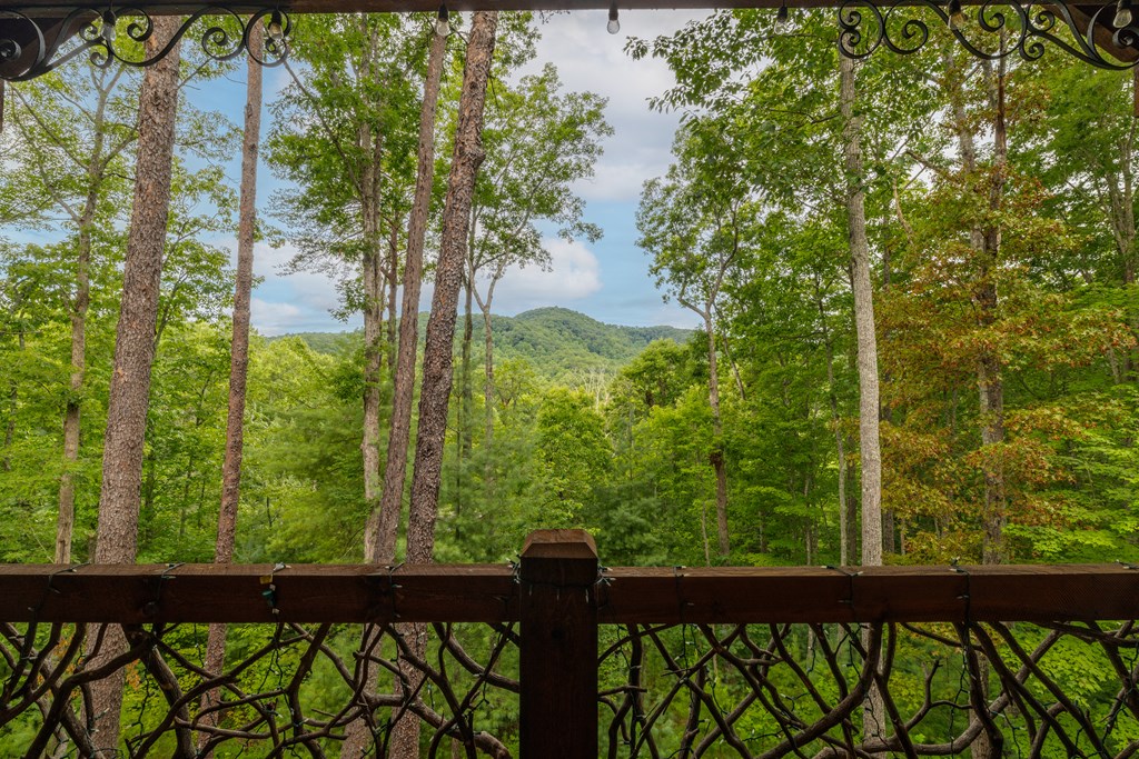 101 Heights Overlook