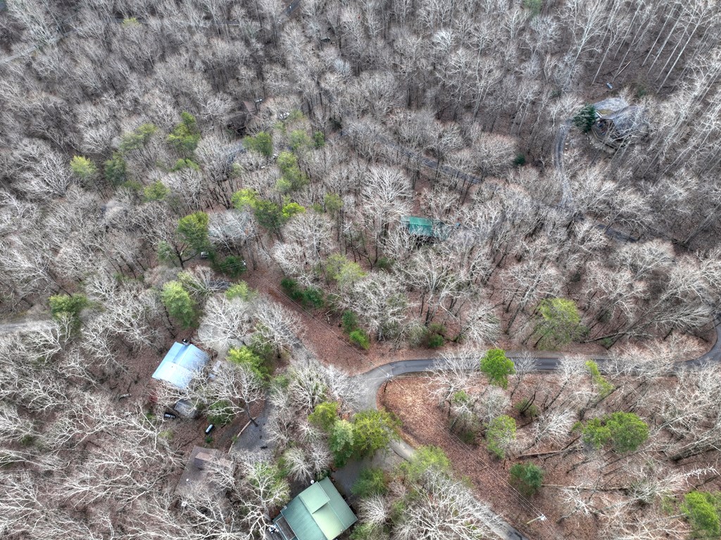 LT M57 Walnut Mountain Court