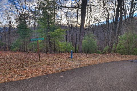 LT M57 Walnut Mountain Court Ellijay GA 30536