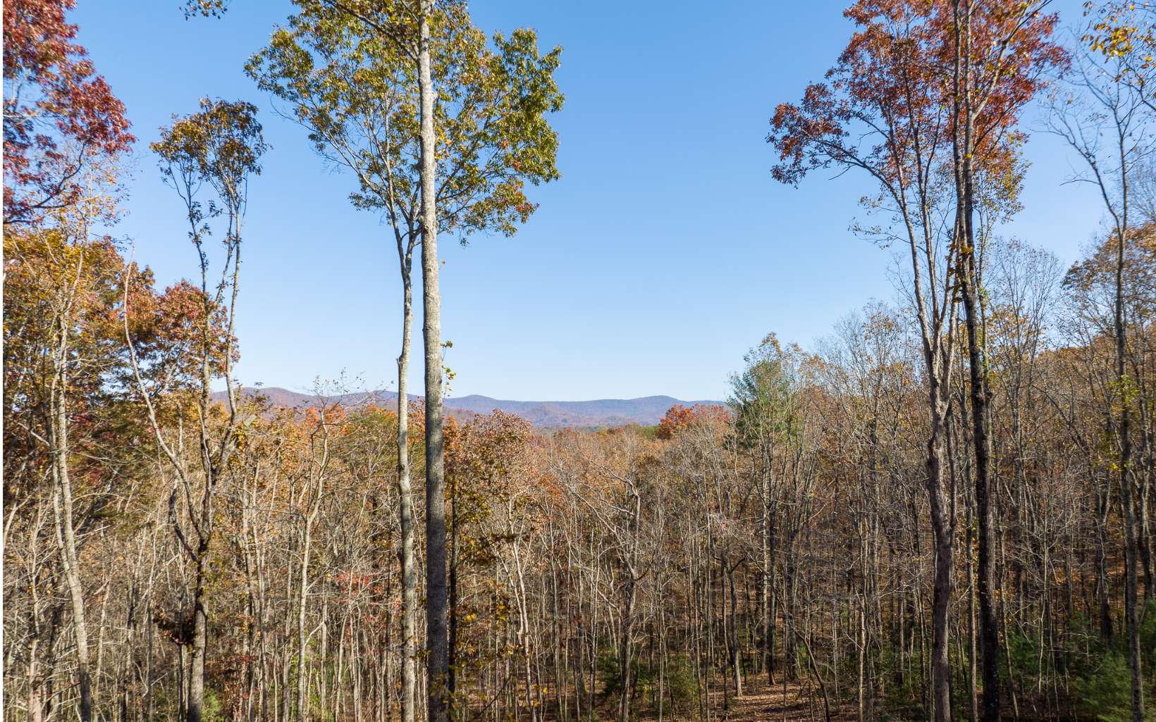 19R Settlement Trail