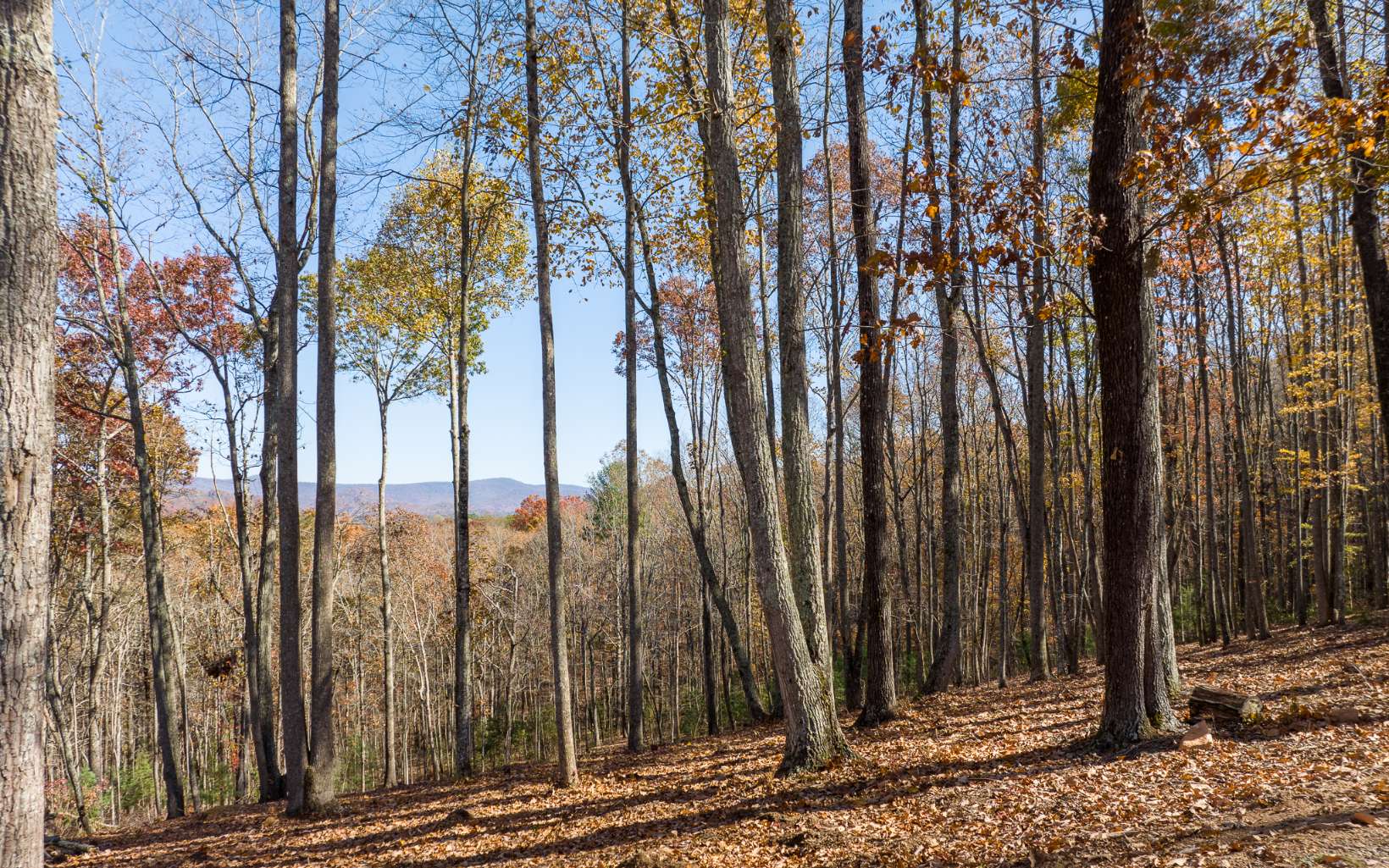 19R Settlement Trail