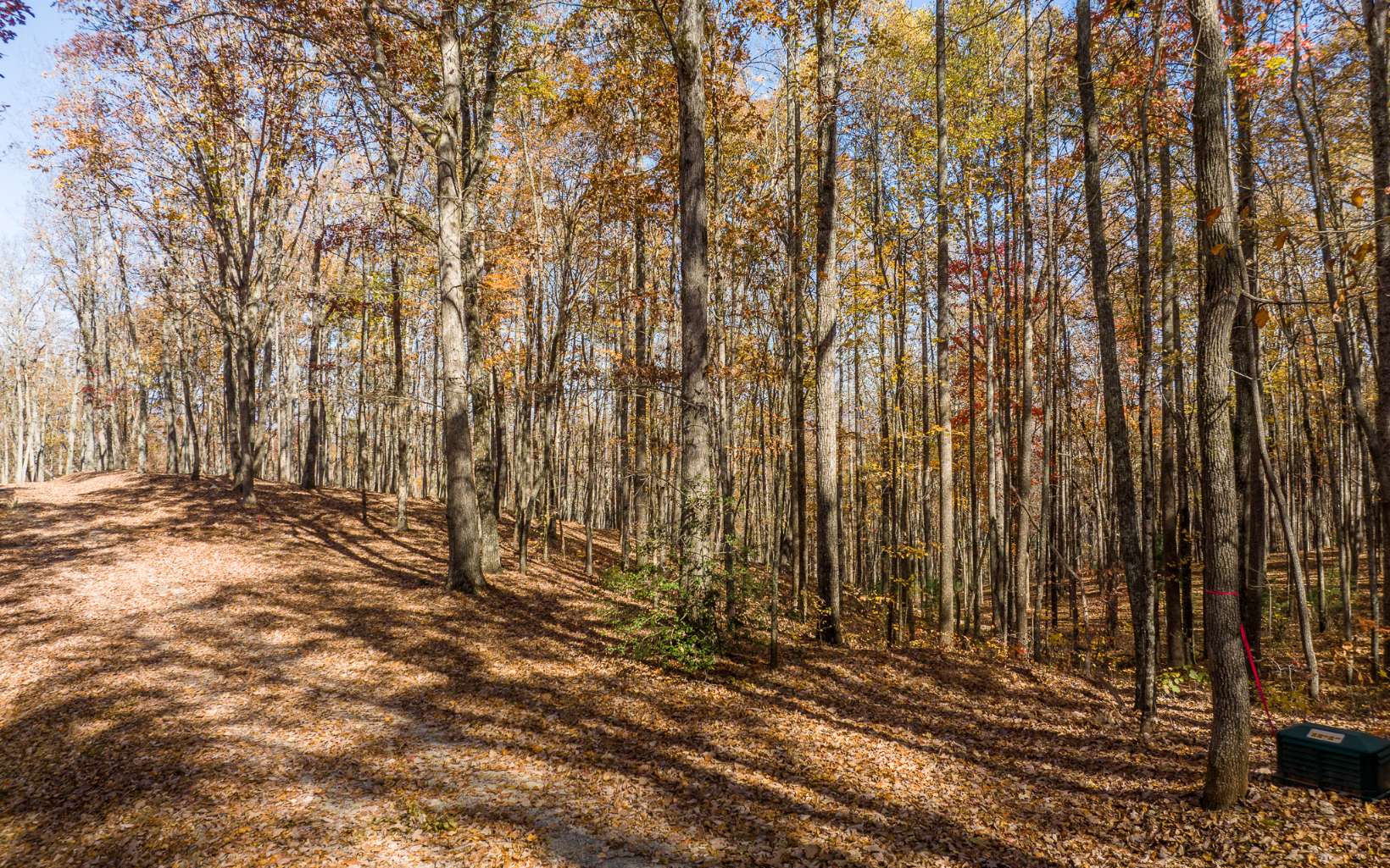 19R Settlement Trail