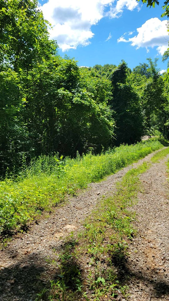 Lot 10 Hickory Ridge