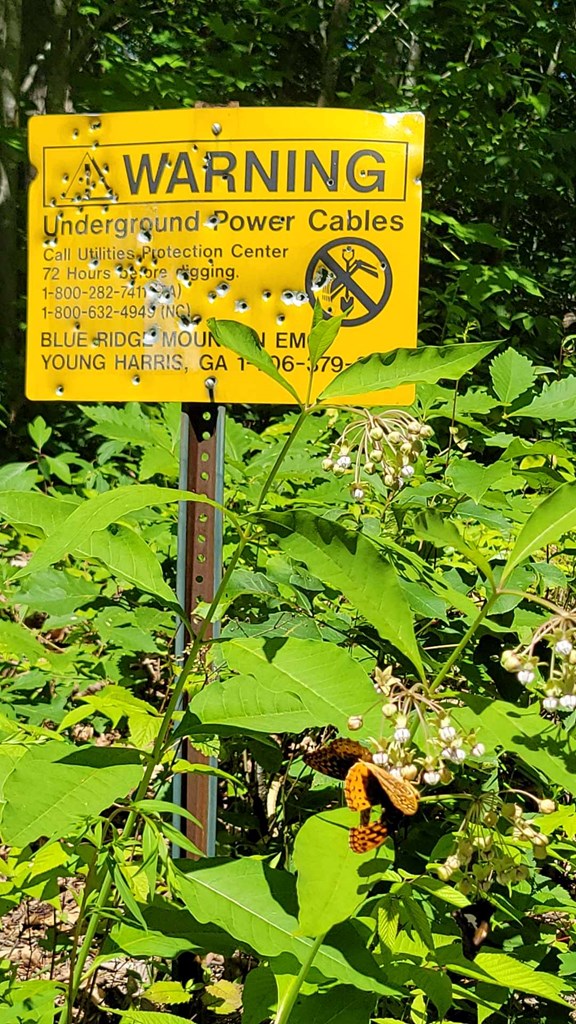 Lot 10 Hickory Ridge