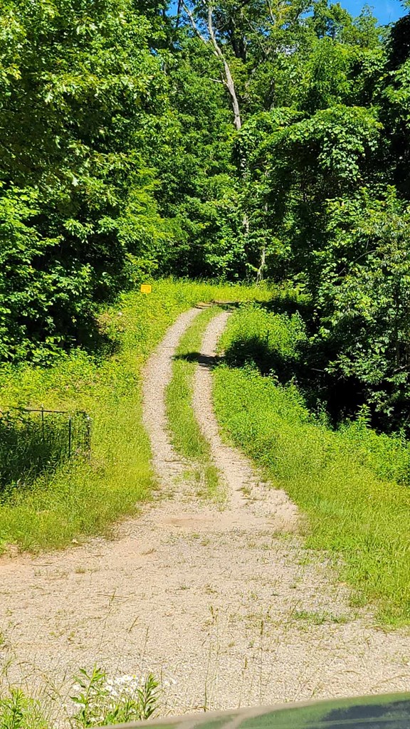 Lot 10 Hickory Ridge