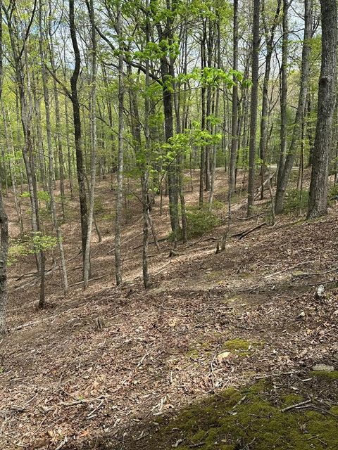 LT B87 Laurel Lane Ellijay GA 30560
