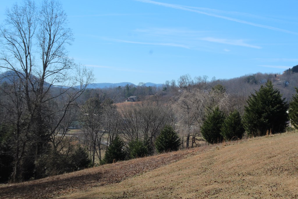 85 Chatuge Shores Circle