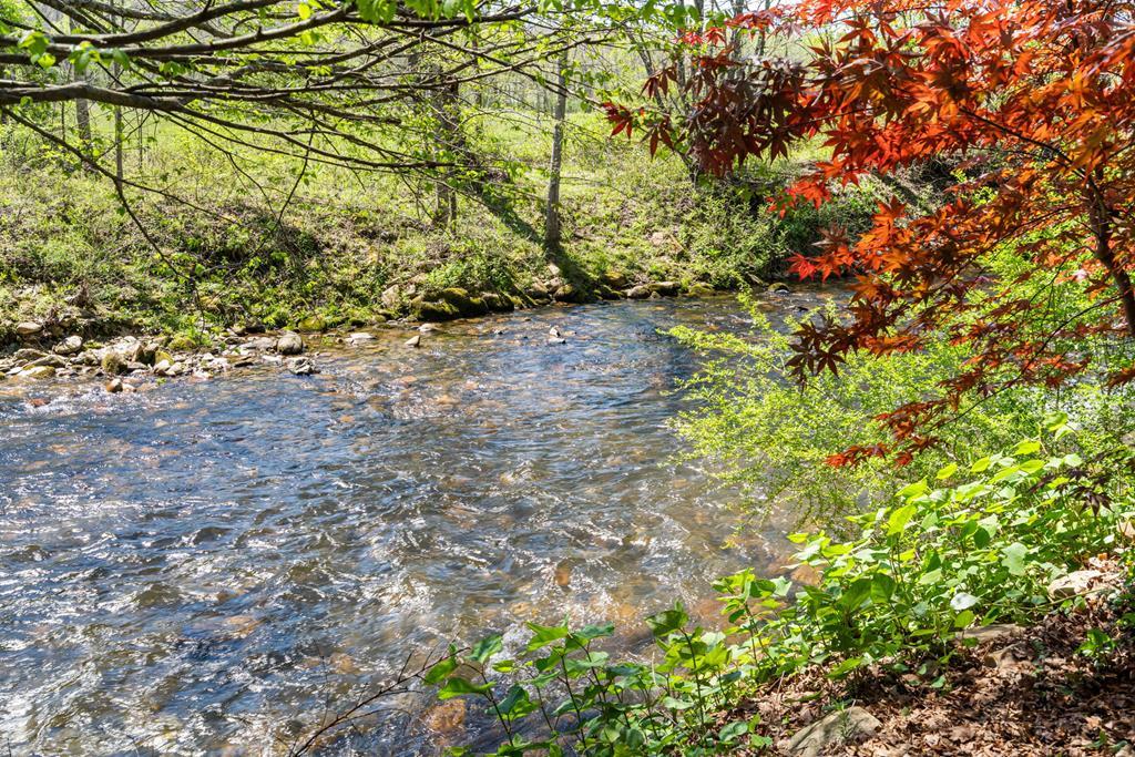 9 Tusquittee Creek Lane