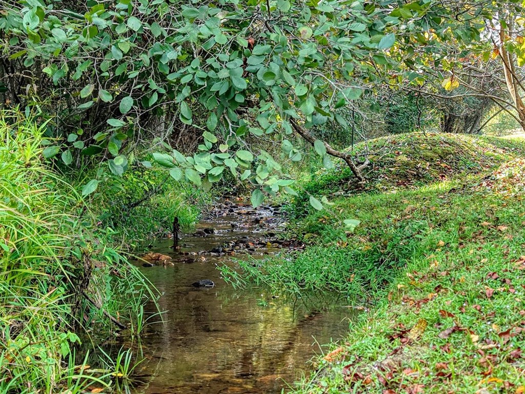 Lt 40 Pleasant Meadows