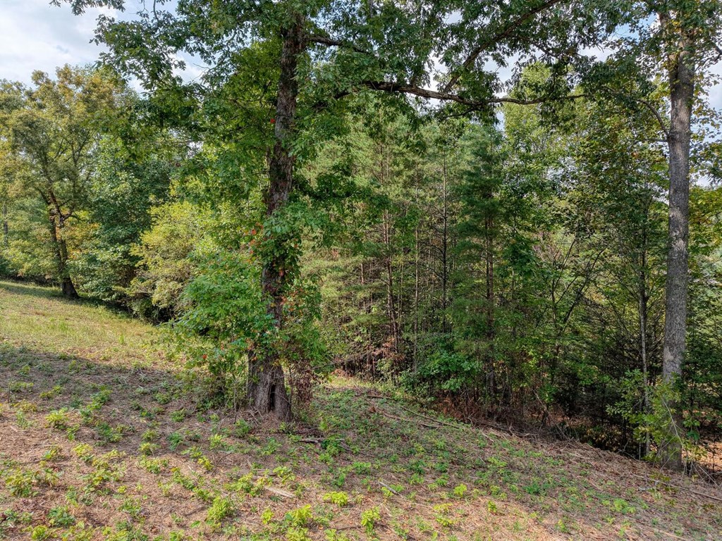 Lt 40 Pleasant Meadows