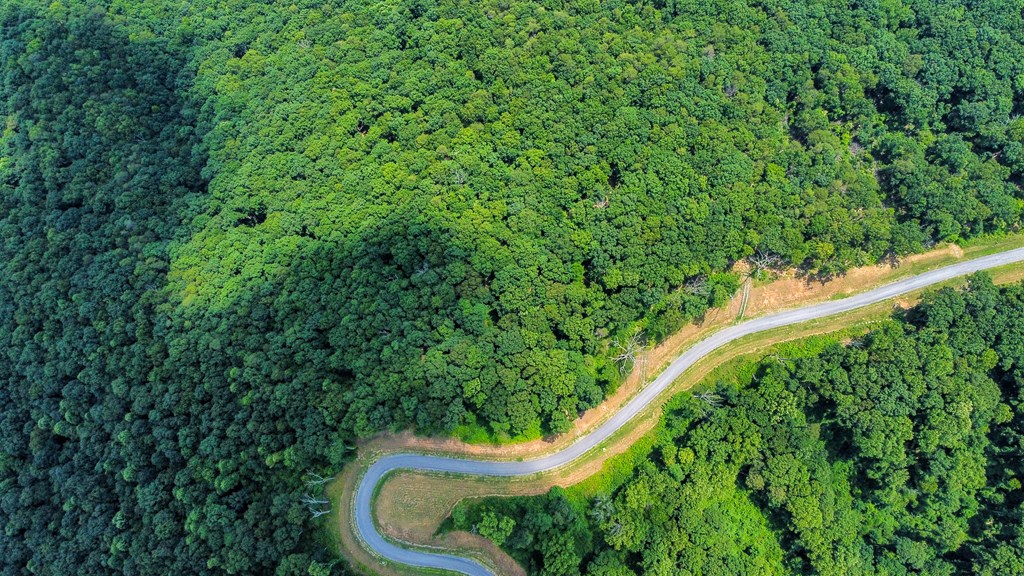 Talking Rock, Georgia 30175, United States, ,Land,Active,53537