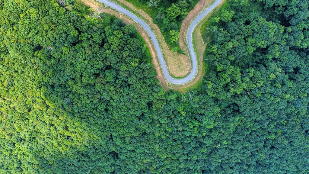 Talking Rock, Georgia 30175, United States, ,Land,Active,53537