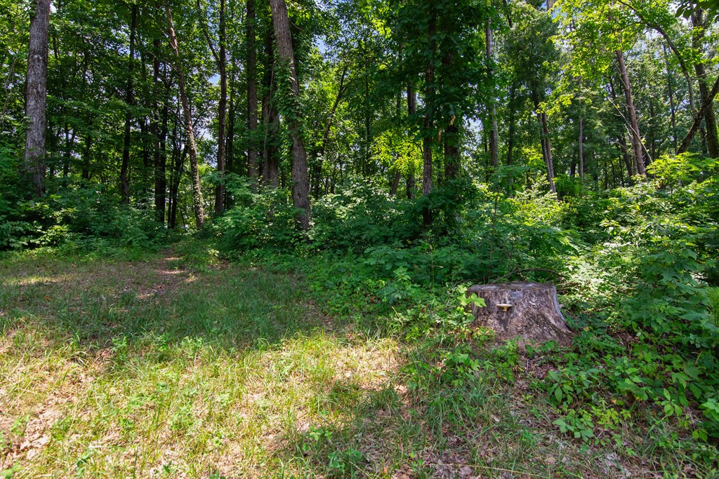 Talking Rock, Georgia 30175, United States, ,Land,Active,53537