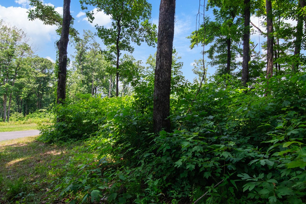 Talking Rock, Georgia 30175, United States, ,Land,Active,53537