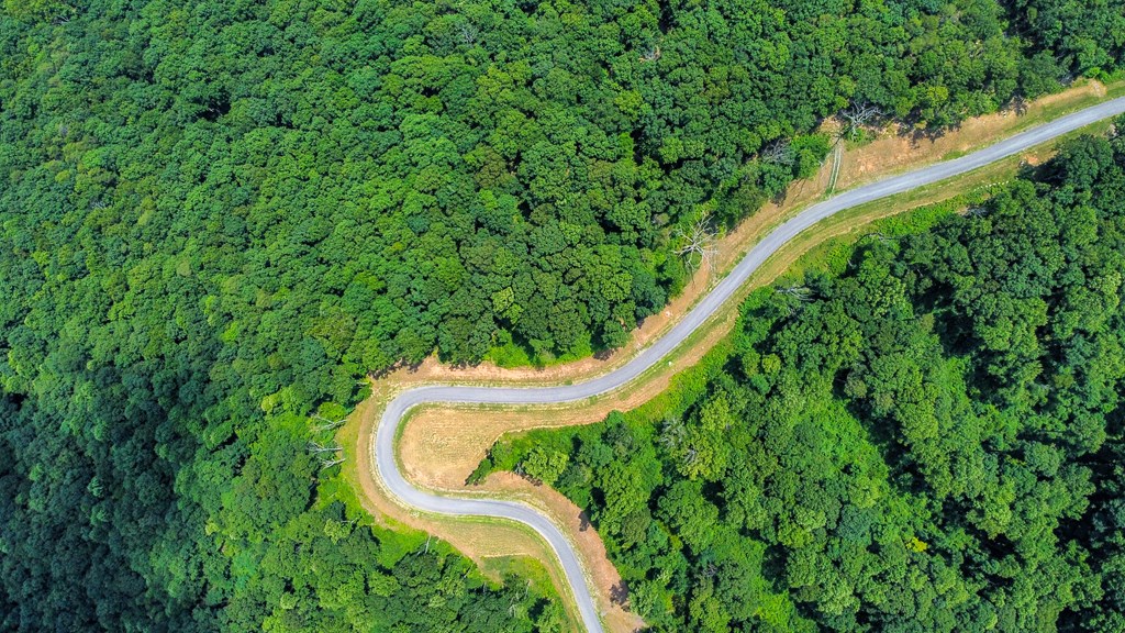 Talking Rock, Georgia 30175, United States, ,Land,Active,53537