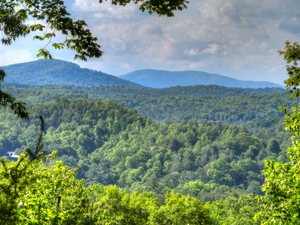 423 Laurel Creek Road