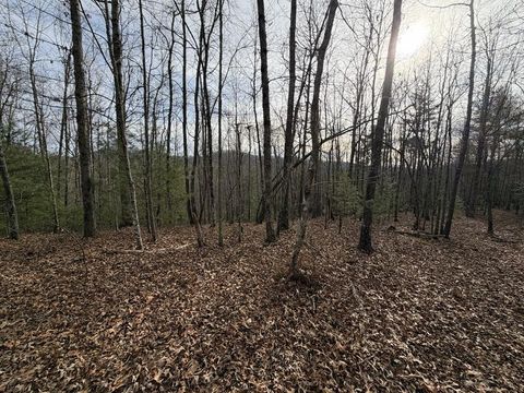 56.6 Ac Cutcane Road Mineral Bluff GA 30559