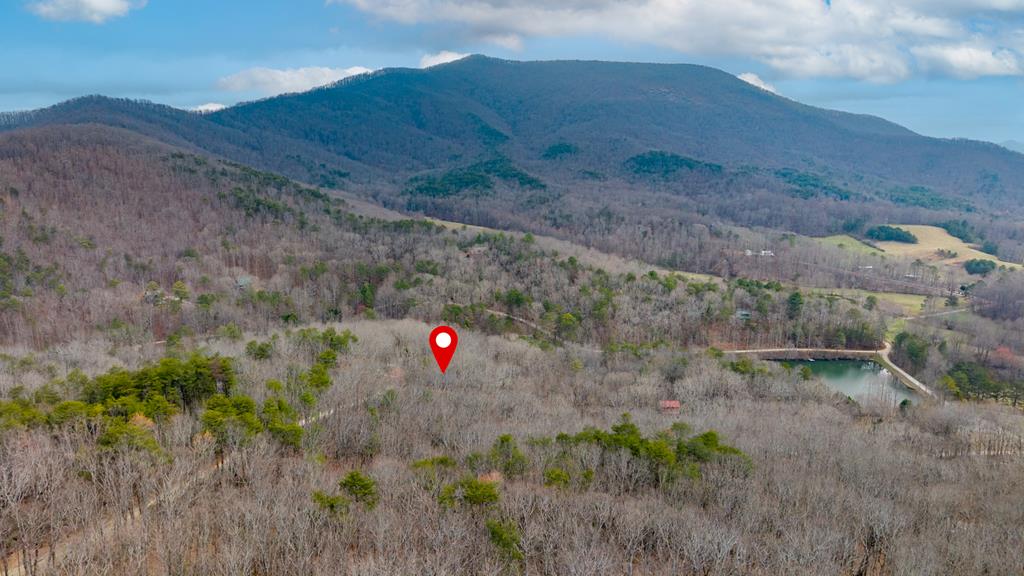 173 Mountain Laurel Lane