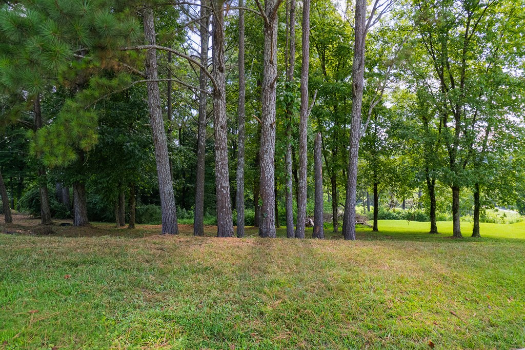 Lots 6-8 N Parkview Drive