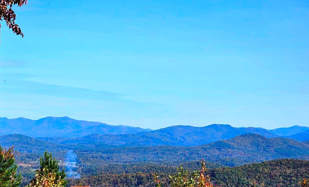 339 Game Trail Drive