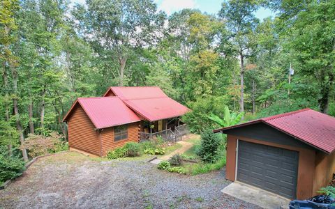 A home in Hiawassee