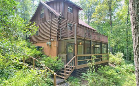 A home in Hiawassee