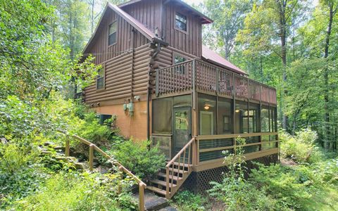 A home in Hiawassee