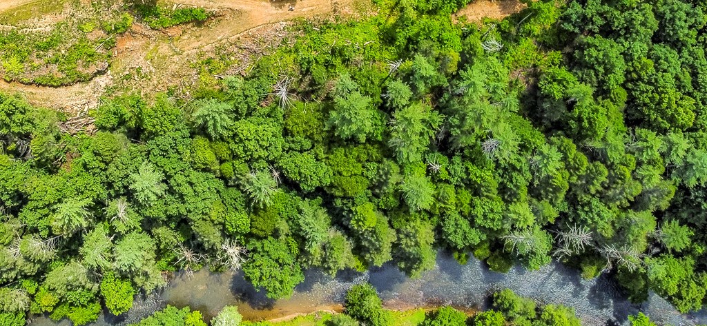 Tract B Hicks Ford Road