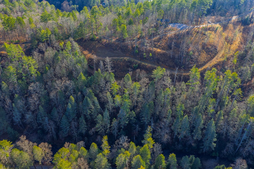 Tract B Hicks Ford Road