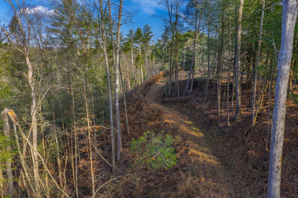 Tract B Hicks Ford Road