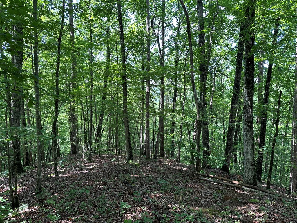 12.34 Ac Tranquility Cove Road