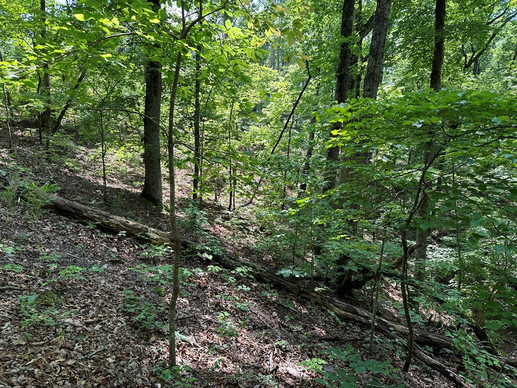 12.34 Ac Tranquility Cove Road