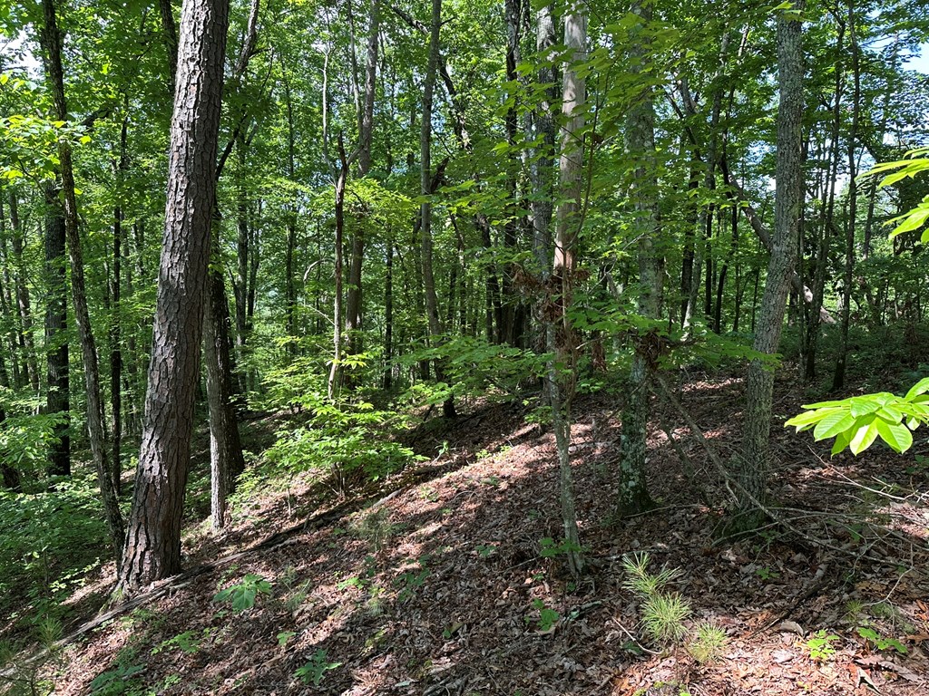 12.34 Ac Tranquility Cove Road