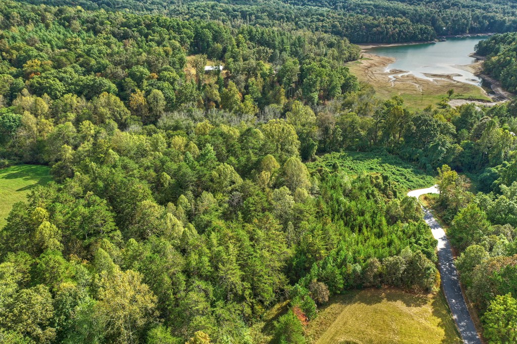 6.4 Acre Collins Road