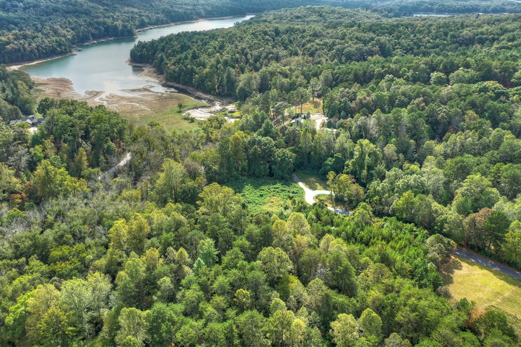 6.4 Acre Collins Road