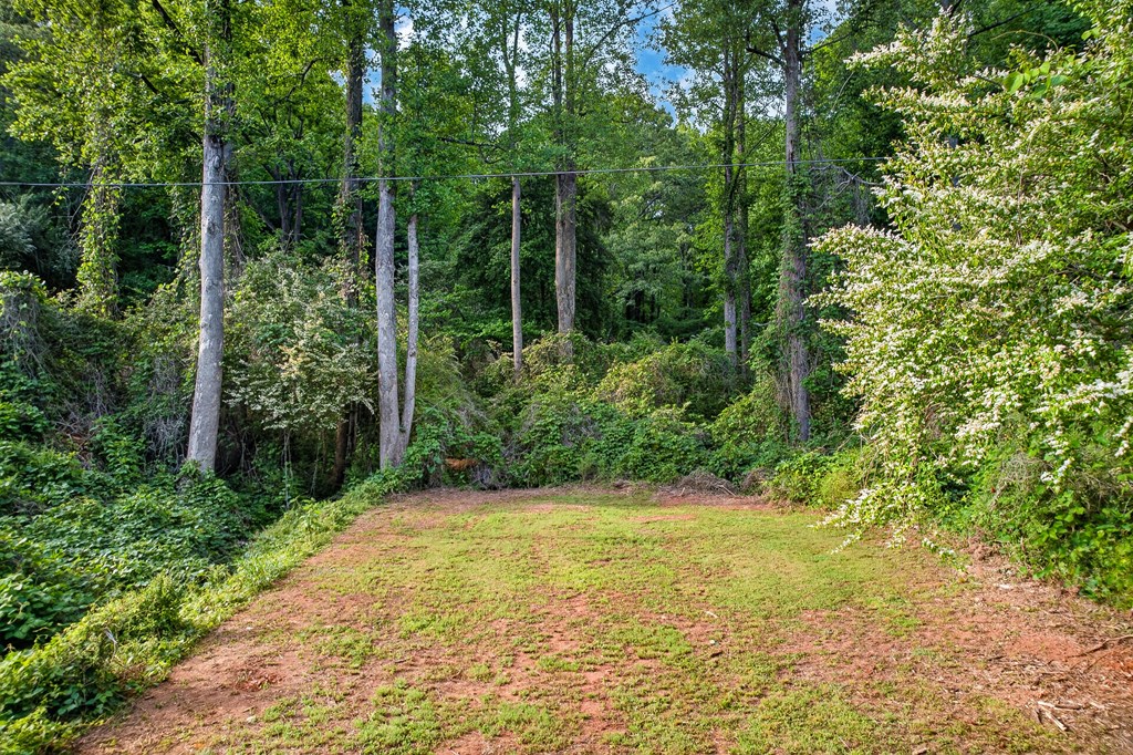 Dahlonega, Georgia, 30533, United States, 5 Bedrooms Bedrooms, ,4 BathroomsBathrooms,Residential,Active,2044582